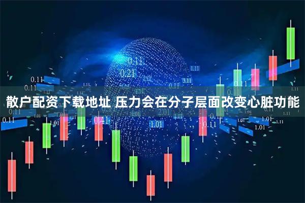 散户配资下载地址 压力会在分子层面改变心脏功能
