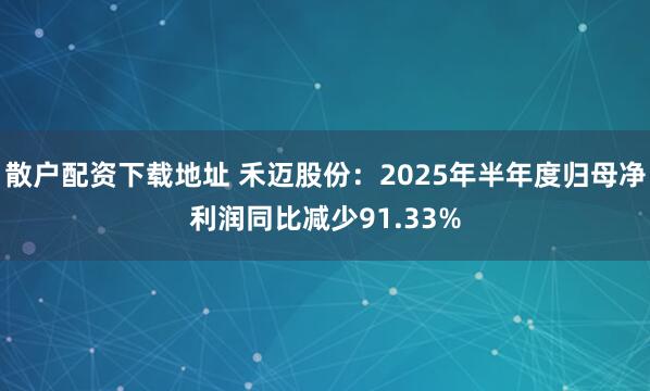 散户配资下载地址 禾迈股份：2025年半年度归母净利润同比减少91.33%