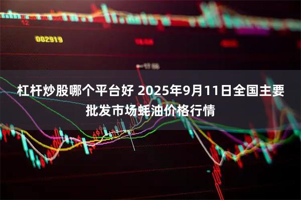 杠杆炒股哪个平台好 2025年9月11日全国主要批发市场蚝油价格行情
