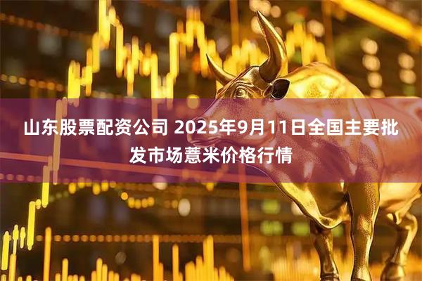 山东股票配资公司 2025年9月11日全国主要批发市场薏米价格行情