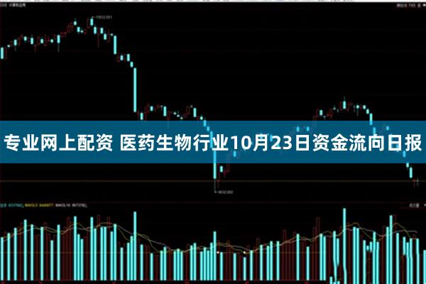 专业网上配资 医药生物行业10月23日资金流向日报