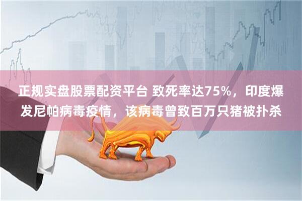 正规实盘股票配资平台 致死率达75%，印度爆发尼帕病毒疫情，该病毒曾致百万只猪被扑杀