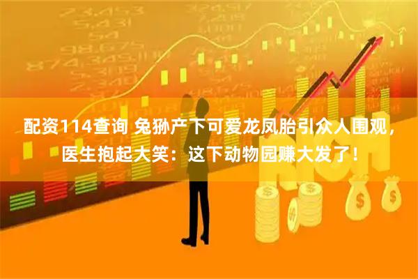 配资114查询 兔狲产下可爱龙凤胎引众人围观，医生抱起大笑：这下动物园赚大发了！