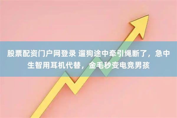 股票配资门户网登录 遛狗途中牵引绳断了，急中生智用耳机代替，金毛秒变电竞男孩