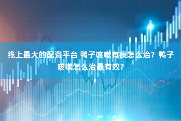 线上最大的配资平台 鸭子咳嗽有痰怎么治？鸭子咳嗽怎么治最有效？