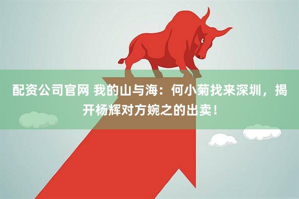 配资公司官网 我的山与海：何小菊找来深圳，揭开杨辉对方婉之的出卖！