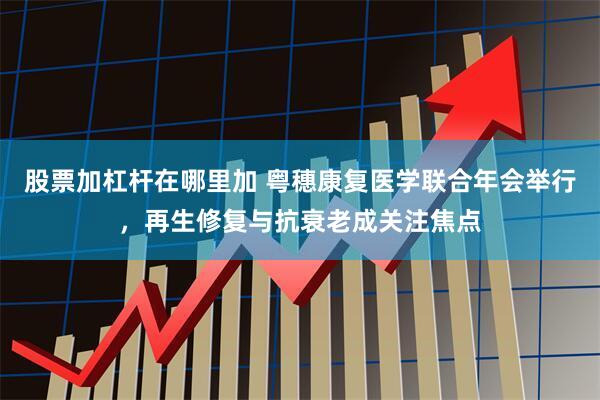 股票加杠杆在哪里加 粤穗康复医学联合年会举行，再生修复与抗衰老成关注焦点